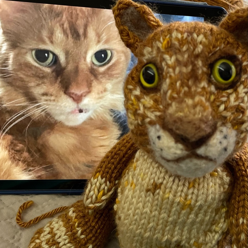 Custom made to order - Hand crafted knit and needle felted cat kitten artisan - Picture 4 of 14
